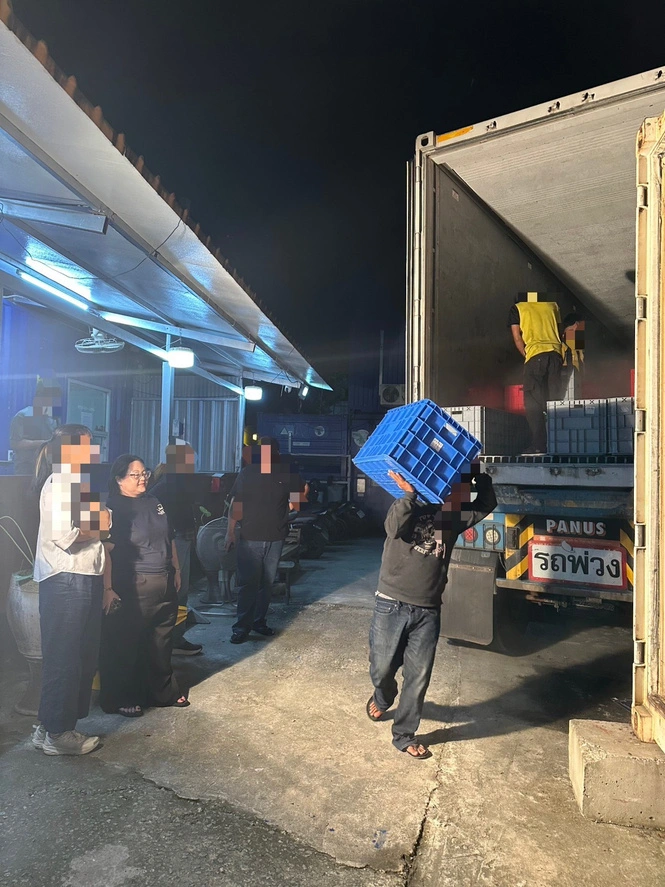 บริการแรงงานขนถ่ายสินค้า (Labor) 3